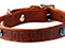 Dog collar with your pet's name