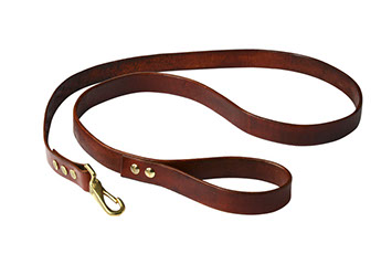 brow leather leash